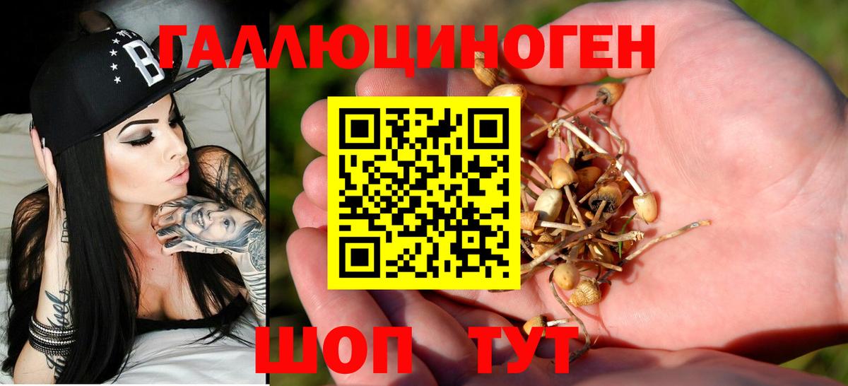 Славгород  Псилоцибиновые грибы Psilocybine cubensis  купить наркотик  Галлюциногенные грибы прущие грибы  Вход с VPN 